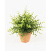 Kleine kunstplanten | Eucalyptus bush in terracotta pot Ø9cm