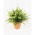 Kleine kunstplanten | Eucalyptus bush in terracotta pot Ø9cm