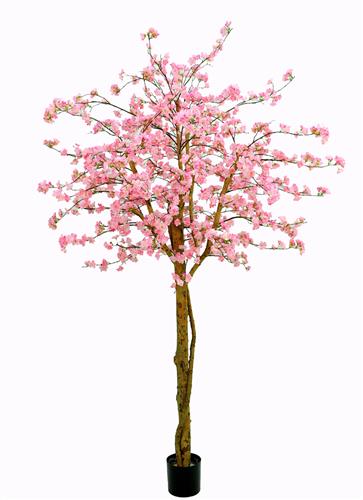Kunst bloesem | Japanse sierkersenboom 240 cm – Luxe eyecatcher