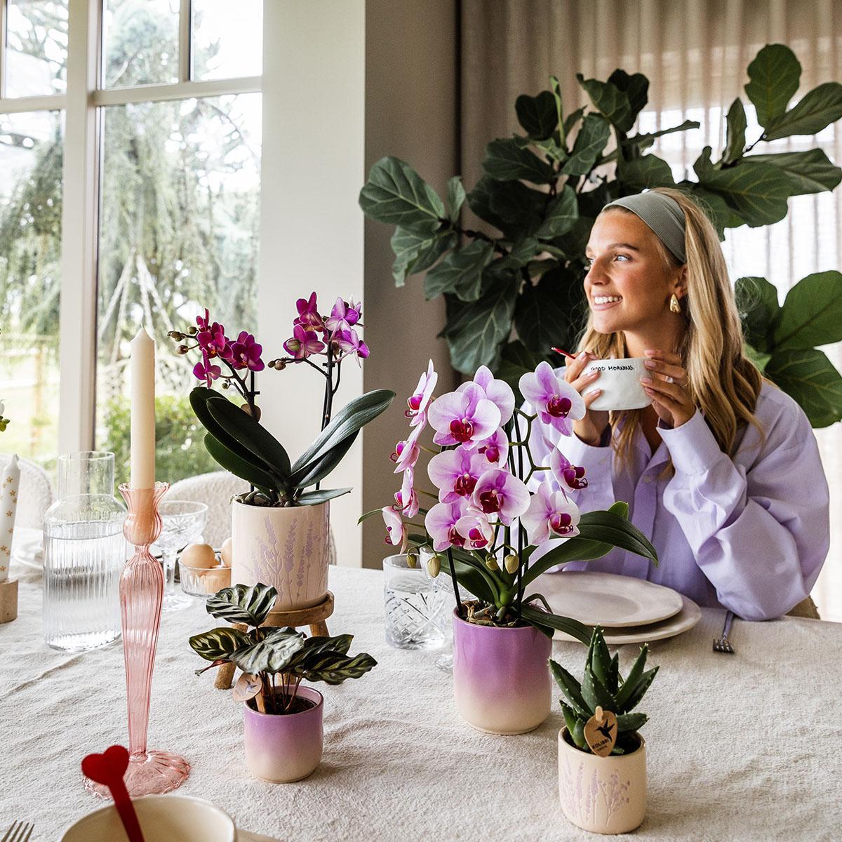 Kolibri Home | Gradience Sierpot - Pink - Ø6cm en Ø9cm - Bloempot