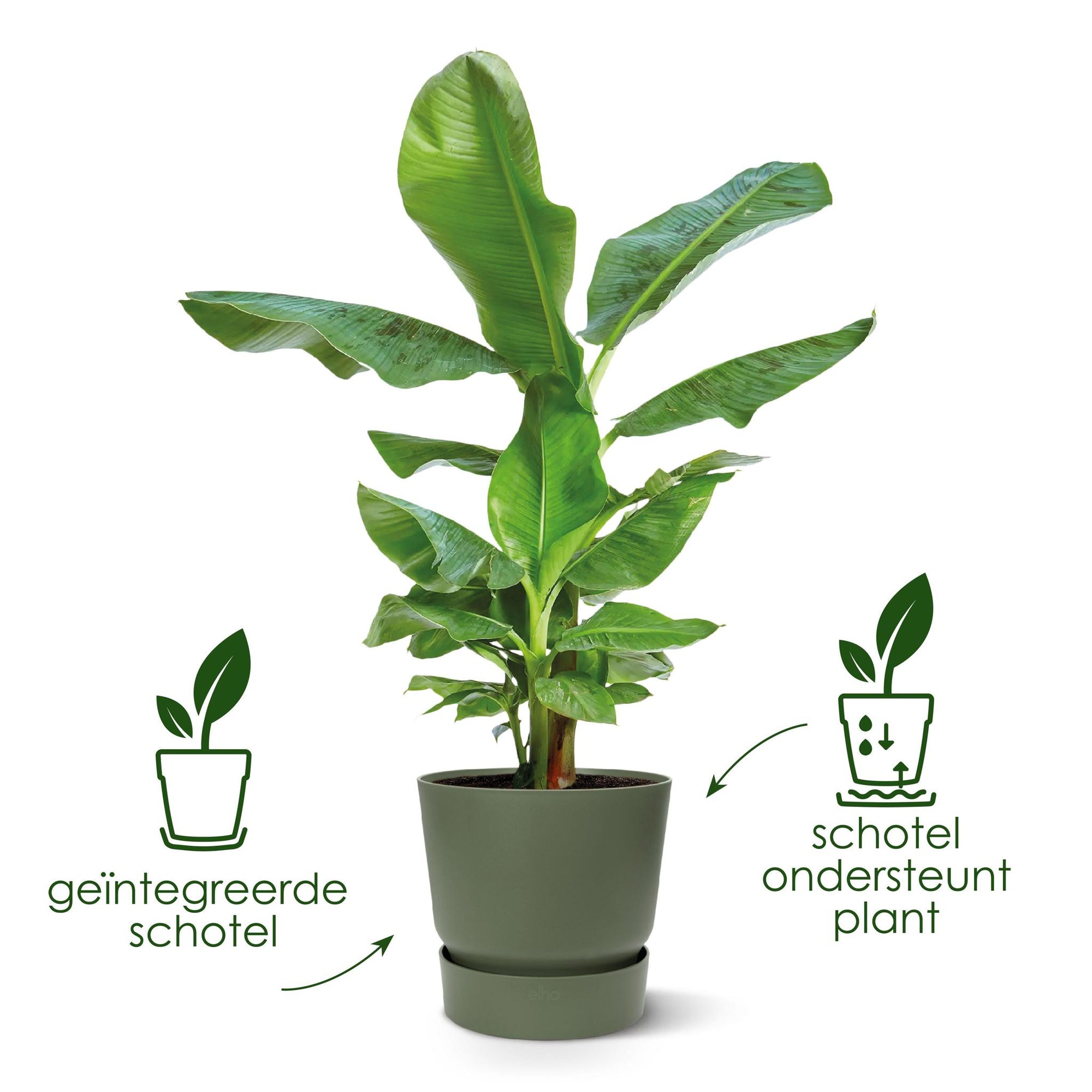 Pot Elho Greenville Round Zwart – Plantenpotten kopen