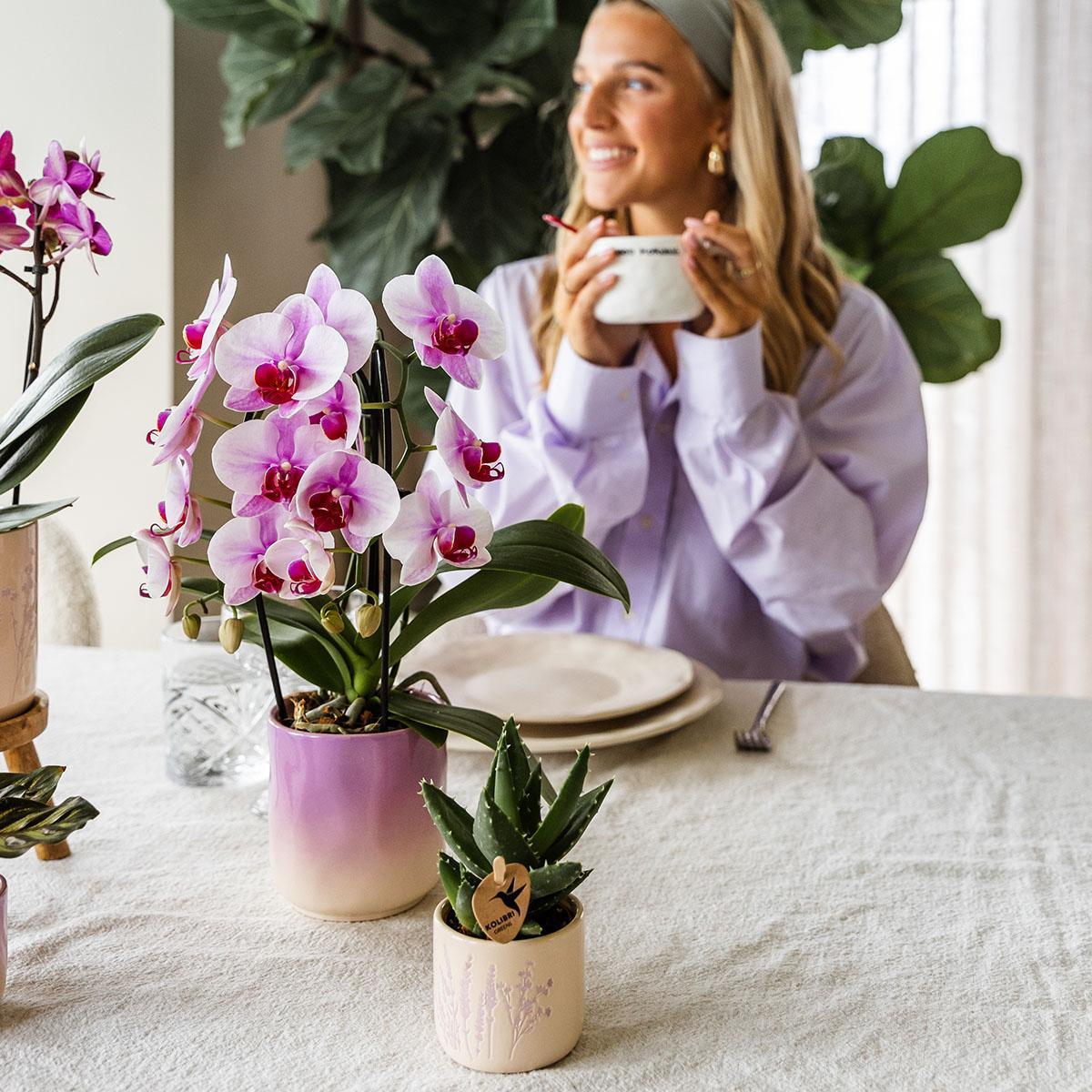 Kolibri Home | Gradience Sierpot - Pink - Ø6cm en Ø9cm - Bloempot