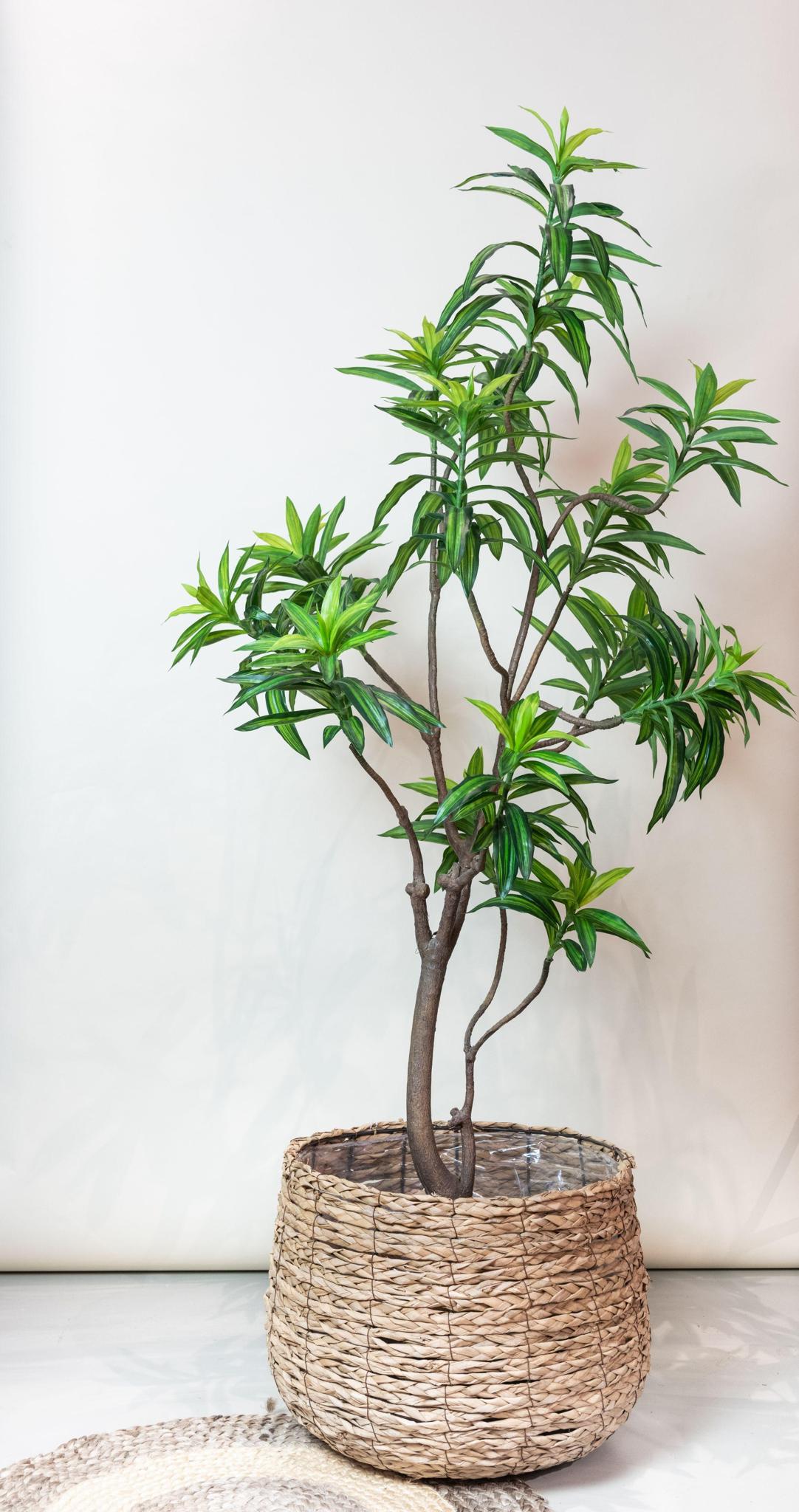 Kunstplant Dracaena - Drakenboom 190 cm - Groen en onderhoudsvrij