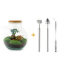 DIY Terrarium - Teddy Bonsai - ↕ 26,5 cm - met Rake, Shovel en Tweezer | Mini-Ecosysteem