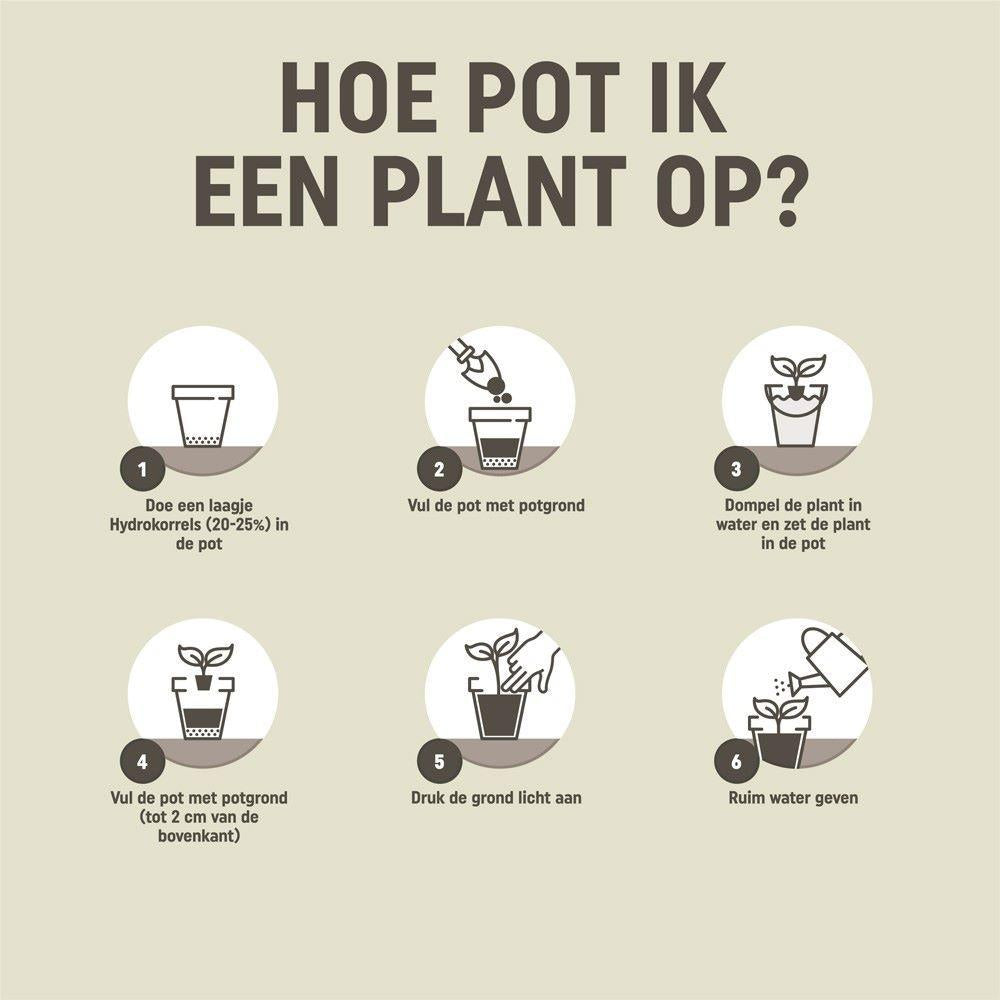 Pokon | Cactus Potgrond 5L