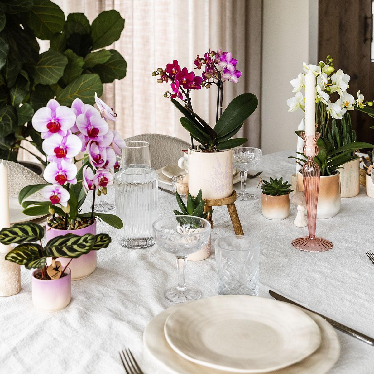 Kolibri Home | Gradience Sierpot - Pink - Ø6cm en Ø9cm - Bloempot