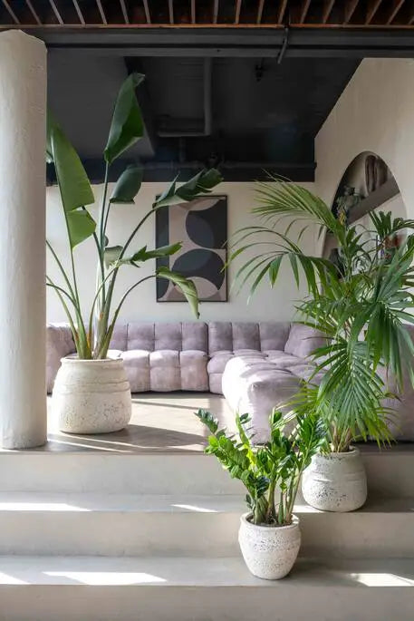 Bloempotten binnen in verschillende maten met kamerplanten in modern interieur