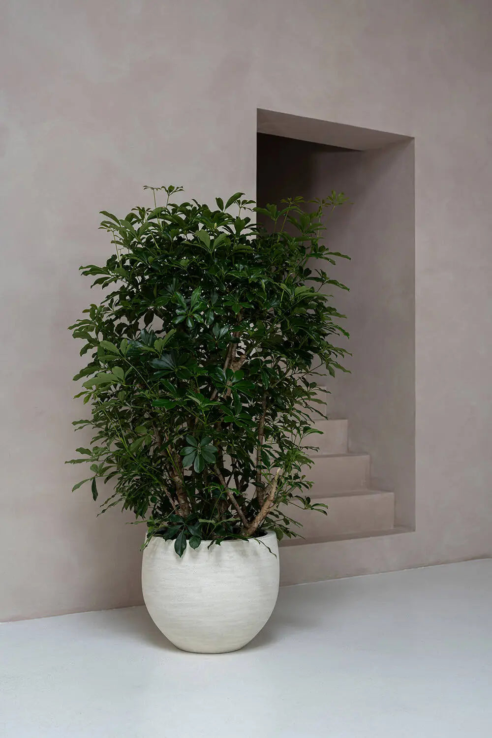 Design bloempot met rustige uitstraling in modern interieur