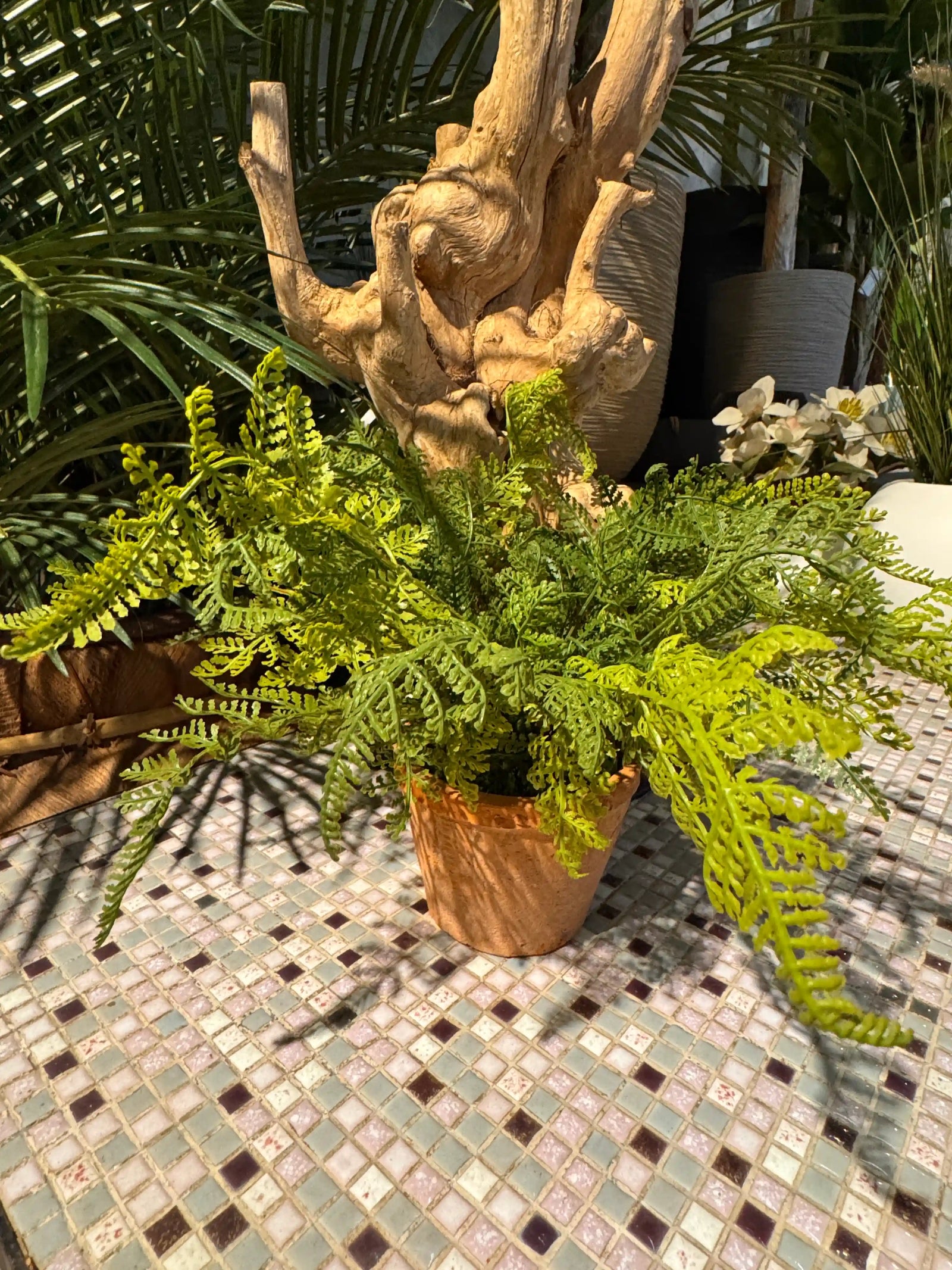 Kleine kunstvaren in terracotta pot met verfijnde bladeren en natuurlijke uitstraling