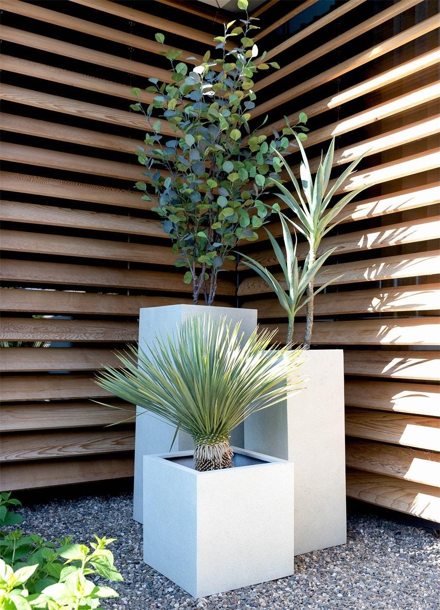Tuinplanten