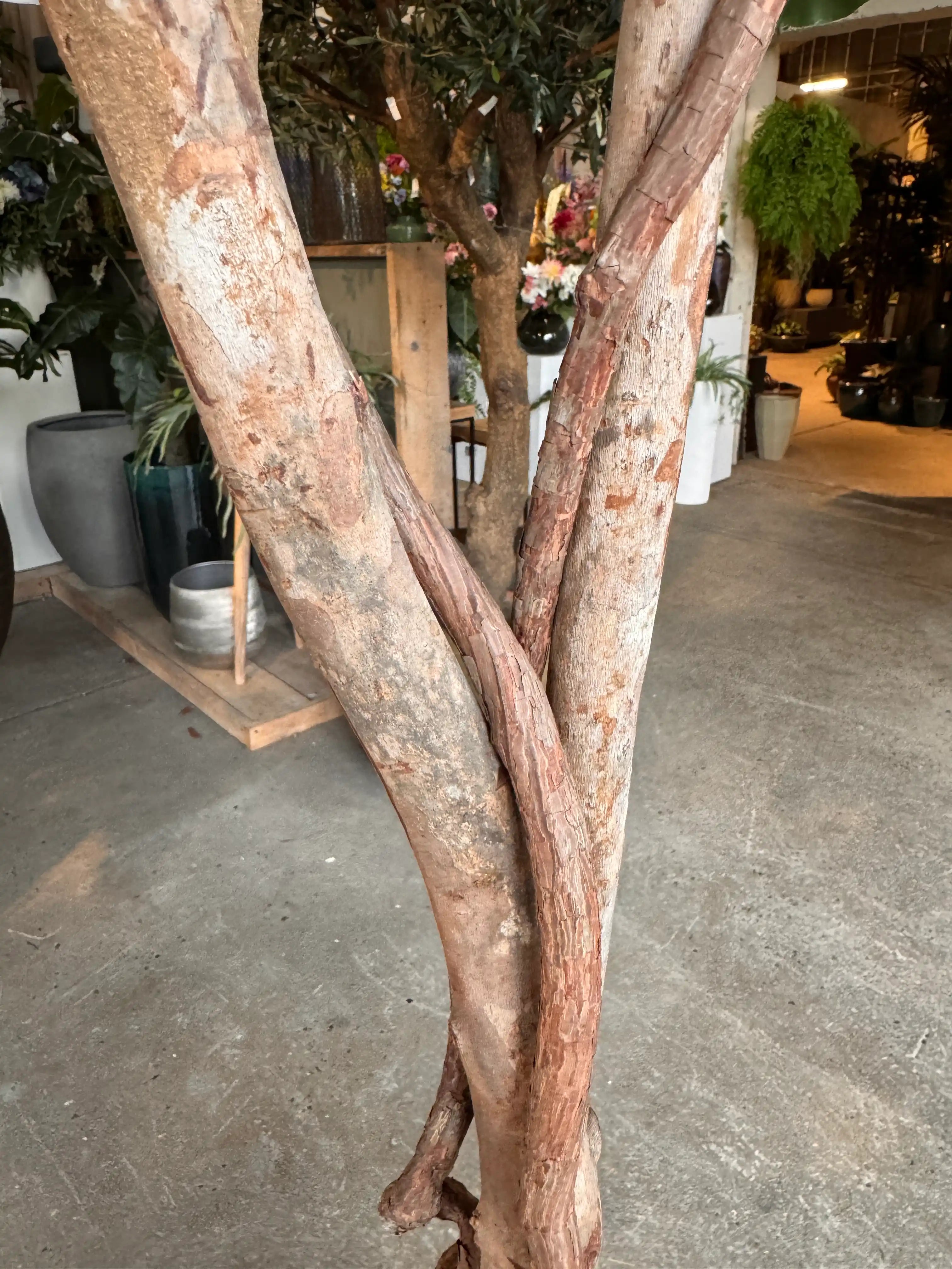 Close up van de realistische houten stam van de kunst kamerplant Ficus Lyrata