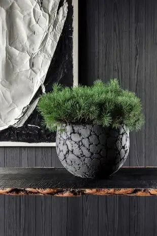 Design bloempot zwart met plant op houten plank