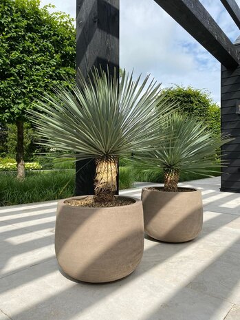 Domani GRAZ – Natural Grey