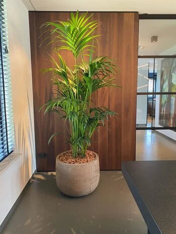 Domani GRAZ – Natural Sand