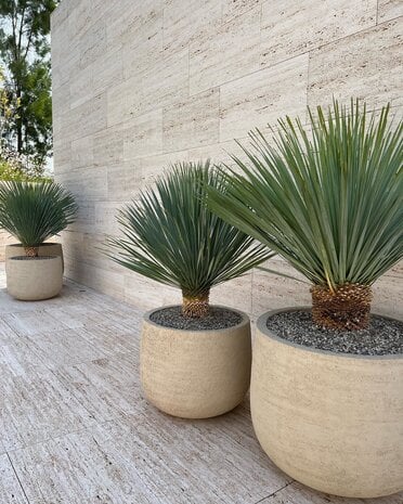 Domani GRAZ Natural White terracotta plantenpot voor buiten op terras