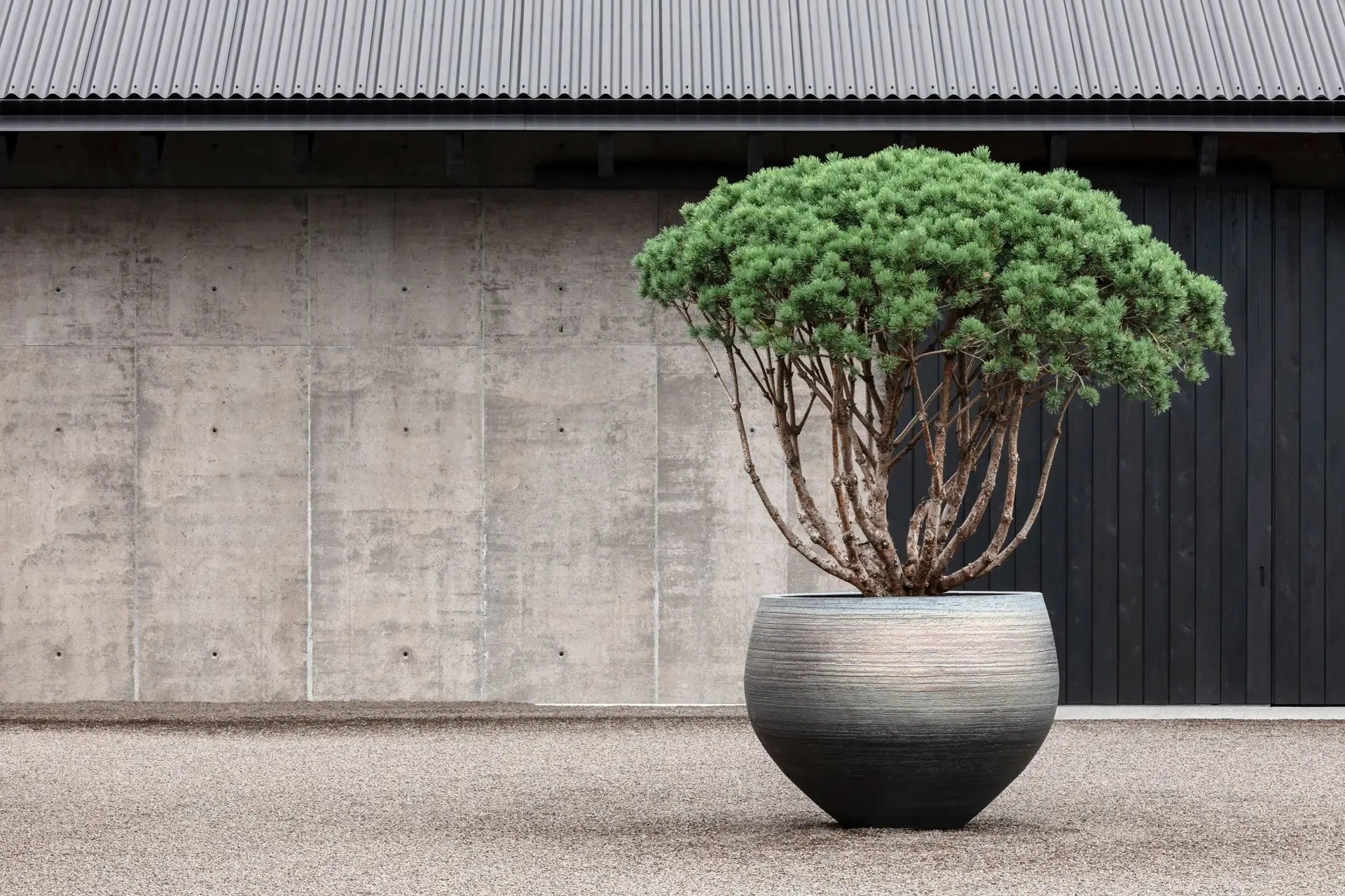 Domani NUUK Metal Art grote terracotta plantenpot voor buiten met sierboom