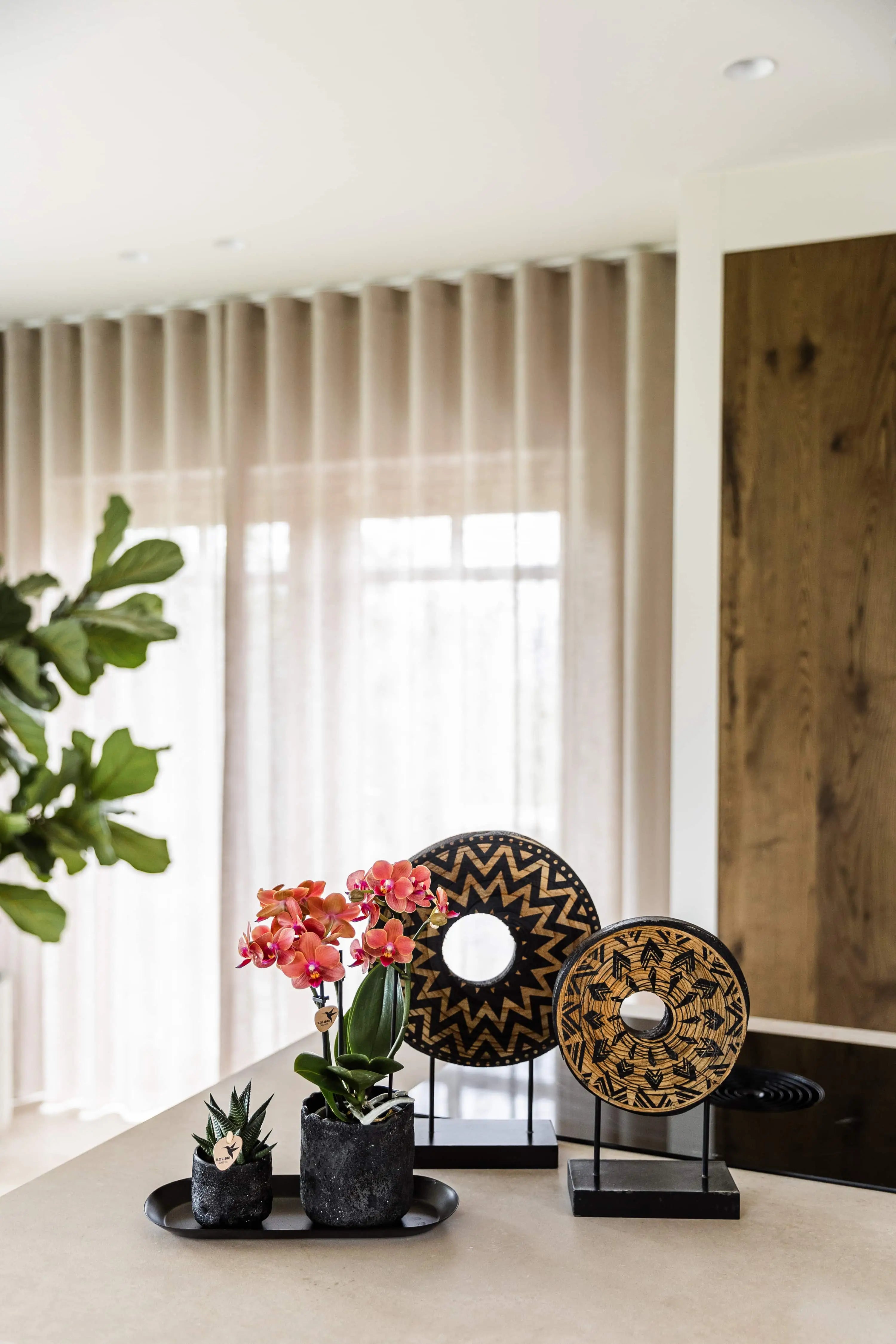 Succulent en orchidee in Moon sierpot op het aanrechtblad van een moderne keuken