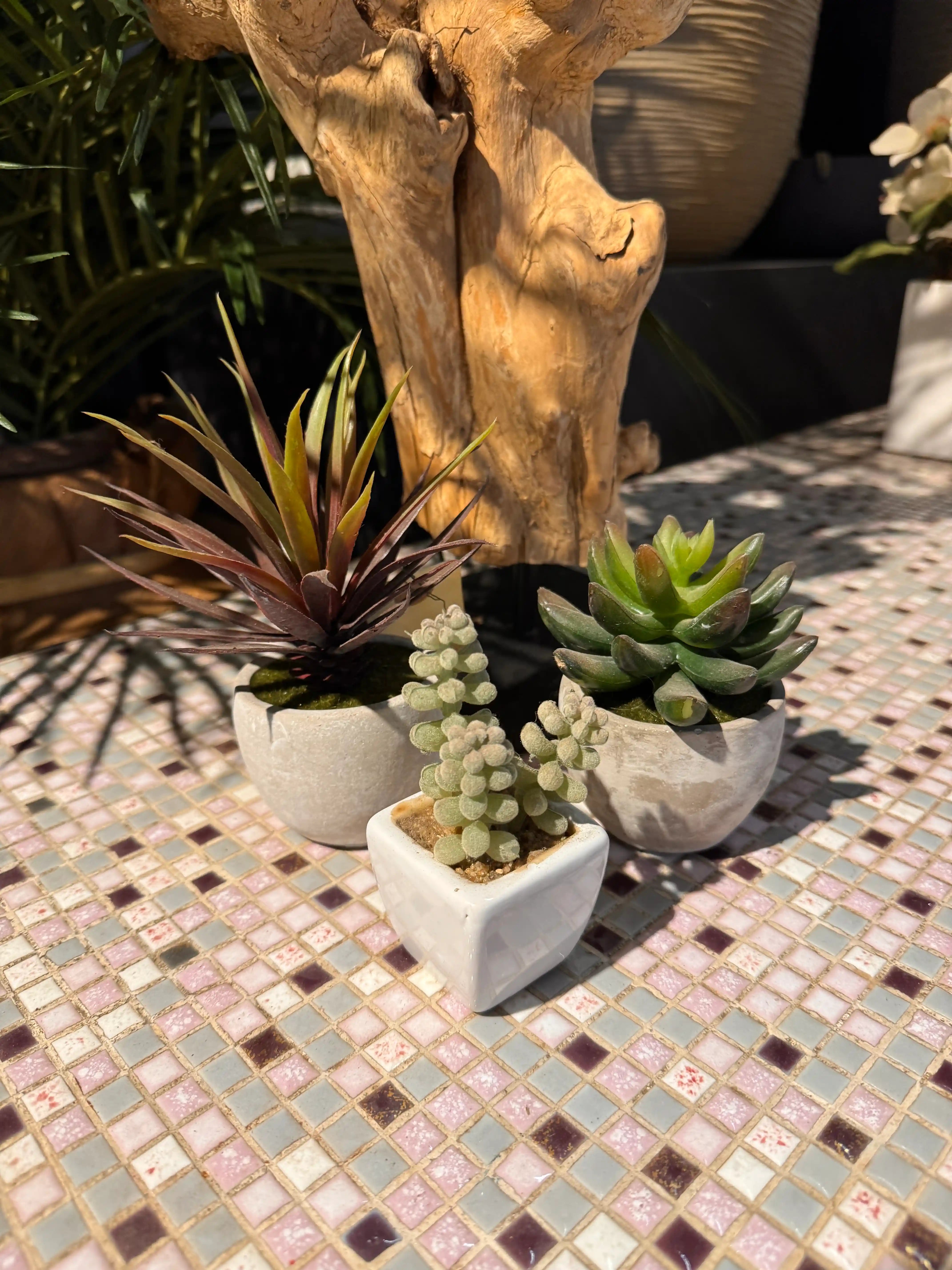 Drie kleine kunst vetplanten in sierpotten als stijlvol groen accent voor het interieur