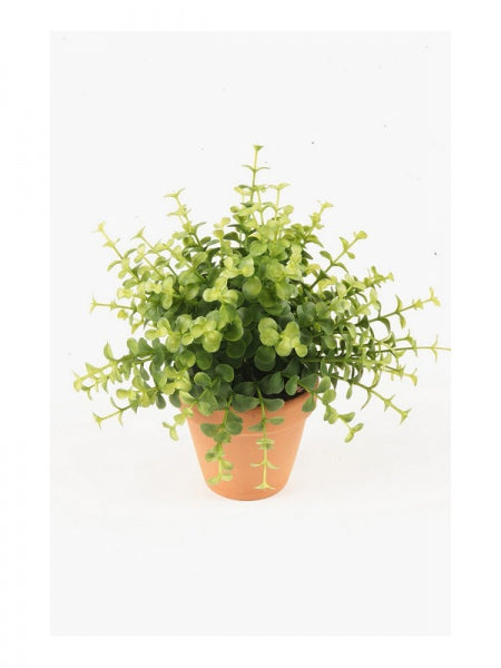 Kleine kunstplanten | Eucalyptus bush in terracotta pot Ø9cm