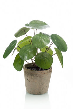 Kleine kunstplanten | Pilea bush 22cm in terracotta pot Ø11cm