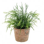 Kleine kunstplanten | Rhipsalis hangplant in terracotta pot Ø11cm