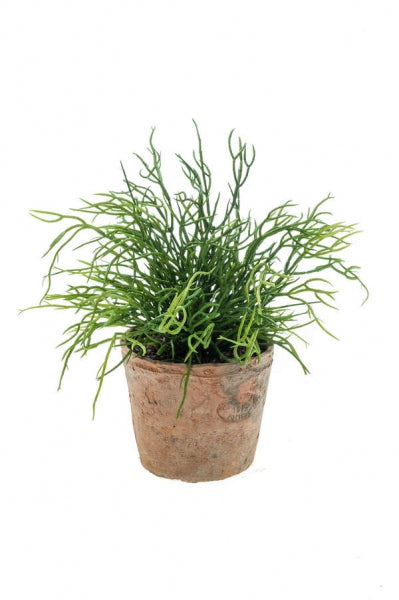 Kleine kunstplanten | Rhipsalis hangplant in terracotta pot Ø11cm