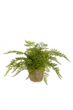 Kleine kunstplanten | Bosvaren bush in terracotta pot Ø11cm