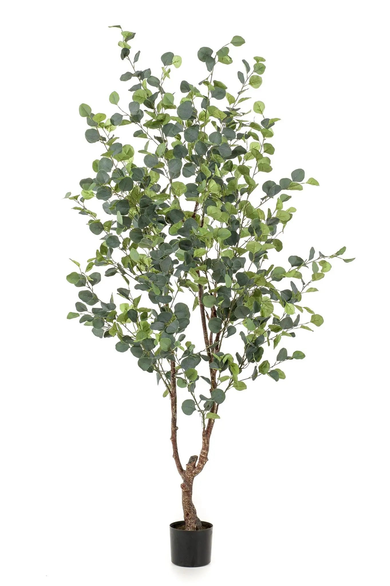 Kunstplant Eucalyptus - Blauwe Gomboom 180 cm