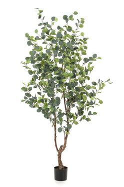 Kunstplant Eucalyptus - Blauwe Gomboom 180 cm