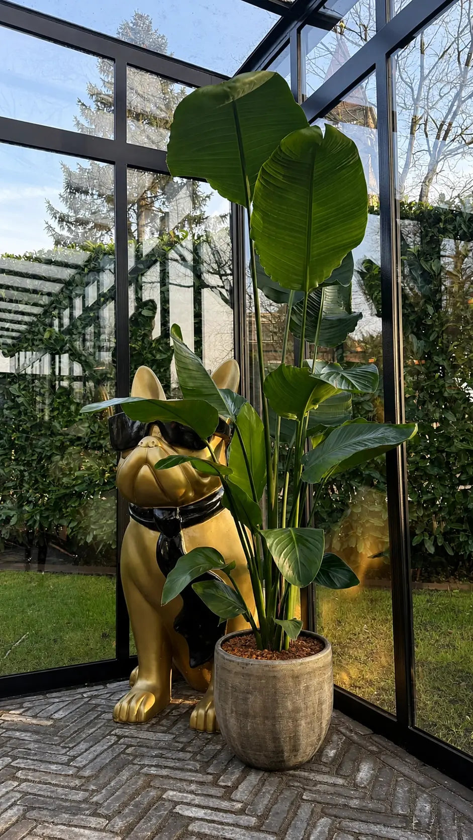 Kunst kamerplant Strelitzia in moderne pot in een serre 
