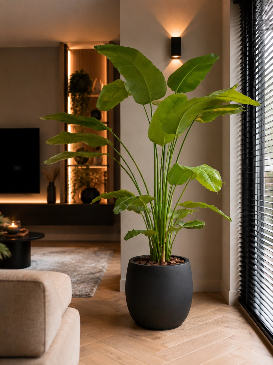 Kunst kamerplant strelitzia in moderne zwarte pot in een moderne woonkamer