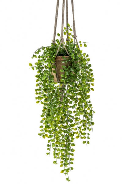 Kunst hangplant Ficus Pumila met 80 cm strengen in terracotta pot, perfect voor een groen accent zonder verzorging.