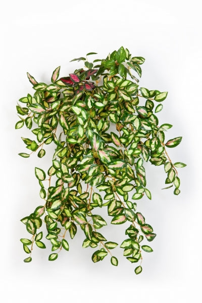 Kunst hangplant Mini Hoya 50cm met 560 frisgroene blaadjes – decoratief, compact en perfect voor elke ruimte.