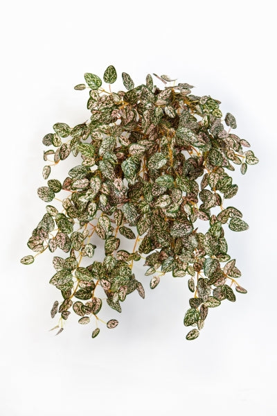 Kunst hangplant Mini Hypoestes van 50 cm met 560 groene blaadjes, perfect voor een onderhoudsvrije groene touch in huis.