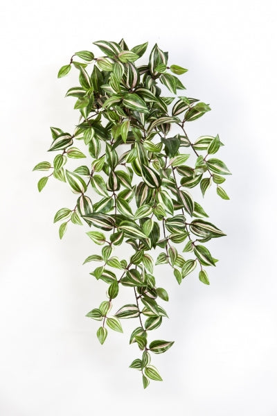 Kunst hangplant | Wandering Jew 95cm – Kleurrijke blikvanger