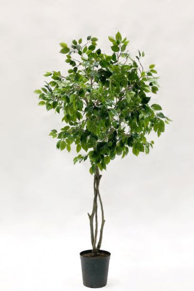 Kunstplant Ficus Benjamina deluxe – 180 cm – levensechte kunstplant voor binnen