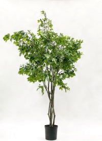 Grote kunstplant Ficus – 300 cm – indrukwekkende blikvanger voor kantoor of horeca