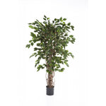 Kunstplant Ficus Liana Exotica met donkergroene bladeren en lianenstam, 180 cm hoog in zwarte plastic pot