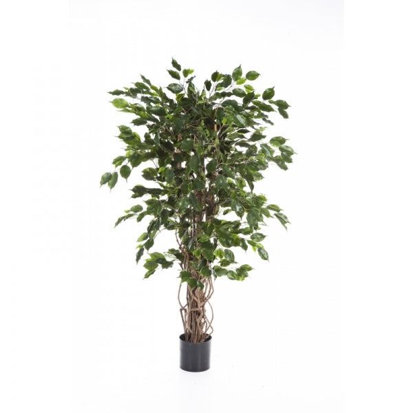 Kunstplant Ficus Liana Exotica met donkergroene bladeren en lianenstam, 180 cm hoog in zwarte plastic pot