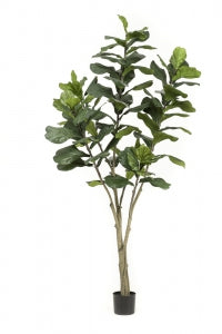 Levensechte Ficus Lyrata kunstplant 210 cm hoog met volle bladkroon
