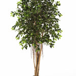 Kunstplant Ficus Retusa met bontgroene bladeren – kleurrijke en natuurgetrouwe blikvanger voor elk interieur.