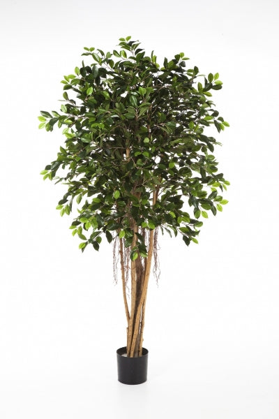 Kunstplant Ficus Retusa met bontgroene bladeren – kleurrijke en natuurgetrouwe blikvanger voor elk interieur.