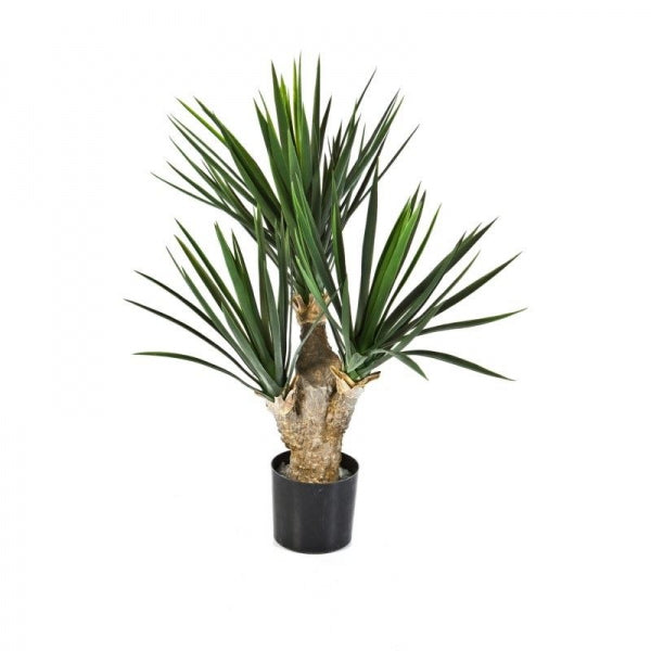 Kunstplant Yucca 68cm – realistische baby yucca met brede stam en spitse groene bladeren