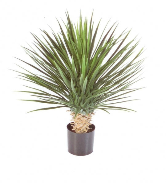 Kunstplant Yucca | Yucca Rostrata Deluxe 80cm – voor binnen én buiten