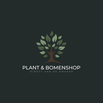 Navigate back to Plant & Bomenshop homepage