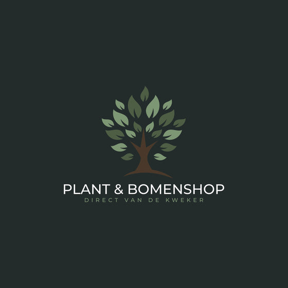 Navigate back to Plant & Bomenshop homepage