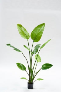 Strelitzia kunstplant van 150 cm – natuurgetrouwe tropische blikvanger voor huis of kantoor.