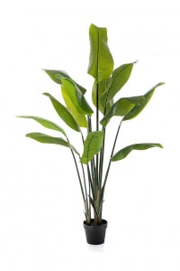 Strelitzia kunstplant 150 cm met realistische tropische bladeren