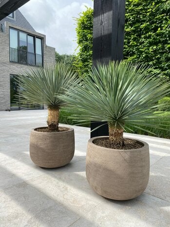 Design bloempot voor buiten van Domani met plant in strakke en moderne tuin