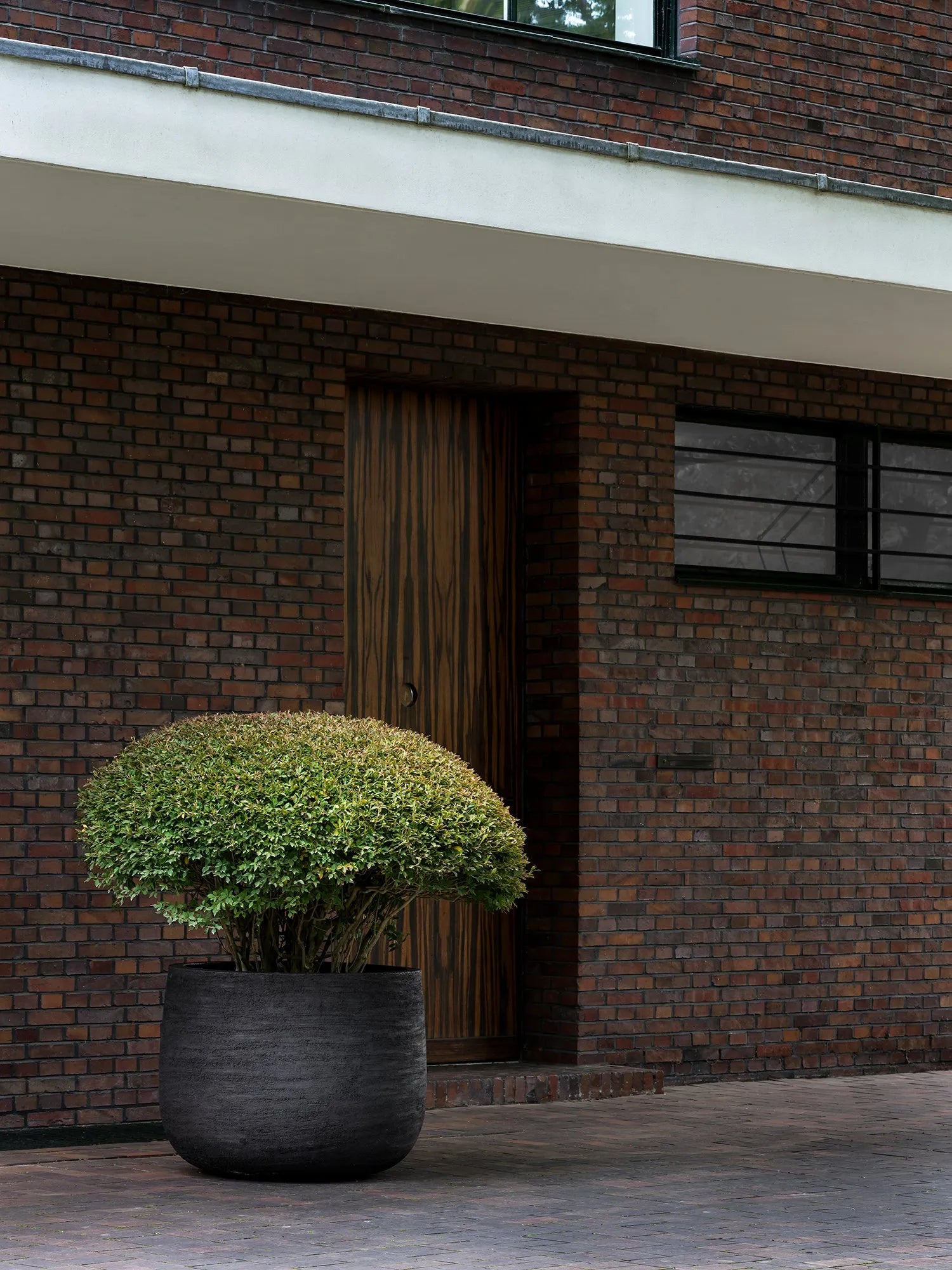 Design bloempot van Domani met grote sierstruik bij moderne woning